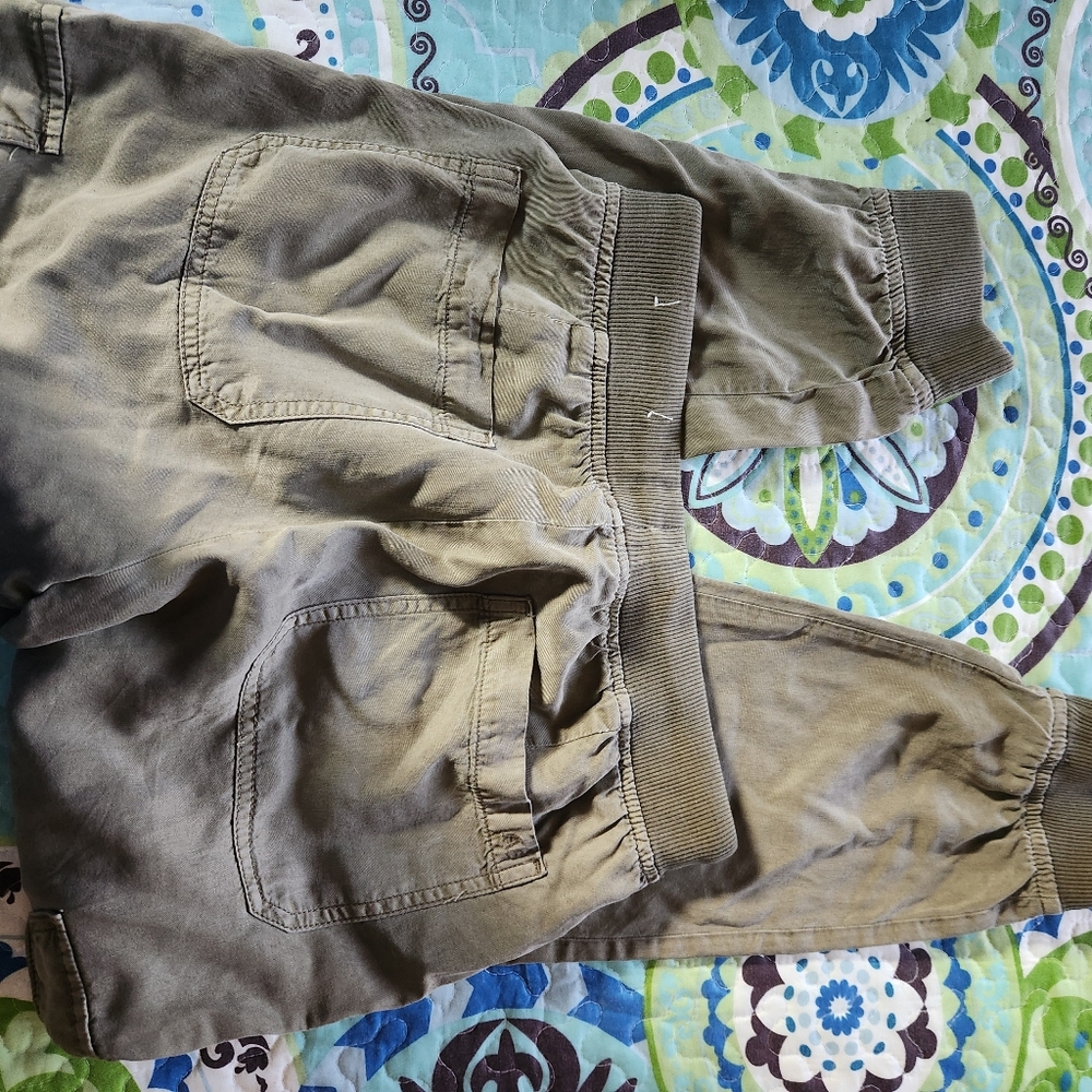 American Eagle Casual Olive Cargo Pants - Picture 6 of 8